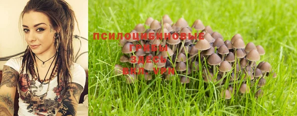 спайс Алексин