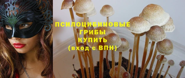 амф Алексеевка